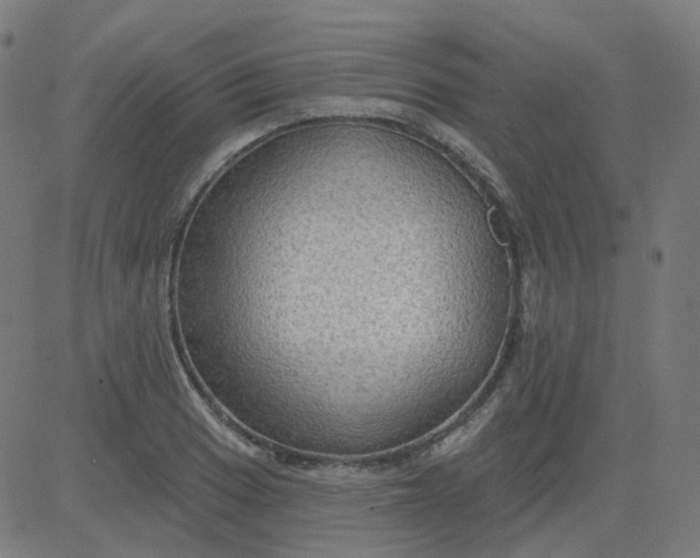 X0000084601033200703091923