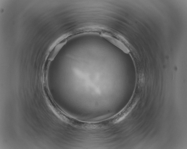 X0000084601034200703091923