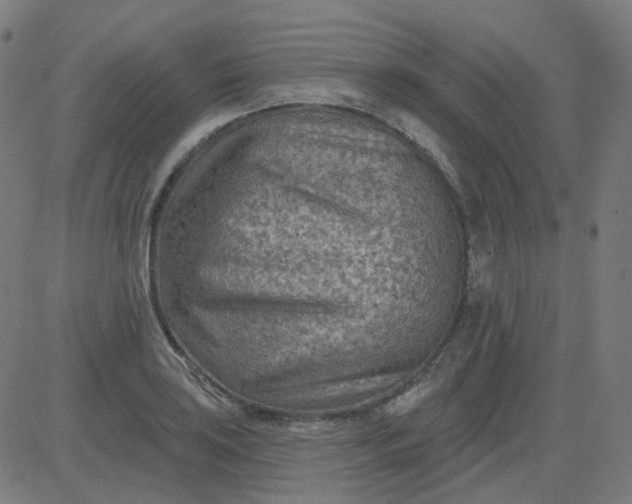 X0000084601035200703091923