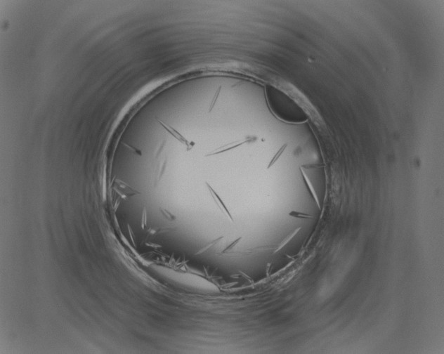 X0000084601036200703091923