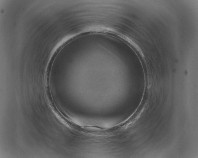 X0000084601037200703091923