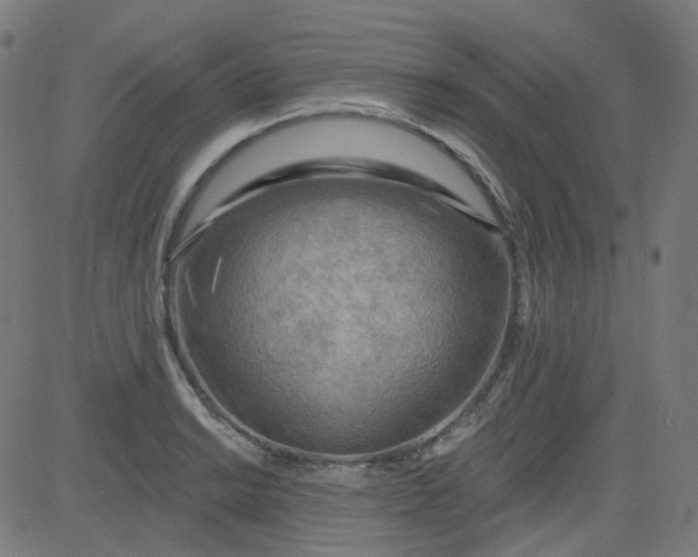 X0000084601038200703091923