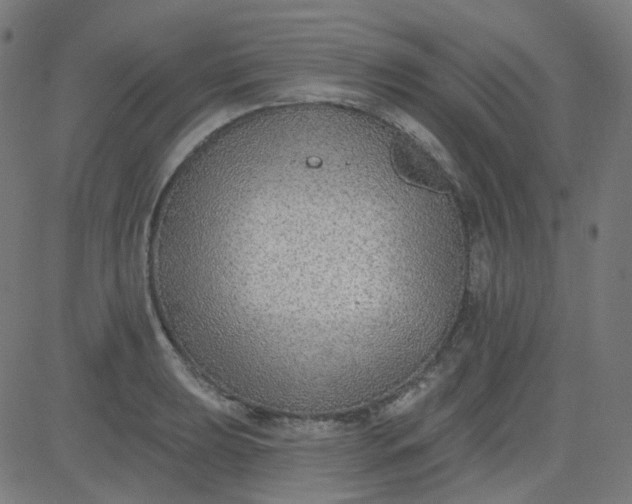 X0000084601039200703091923