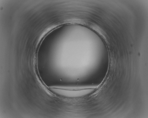 X0000084601040200703091924