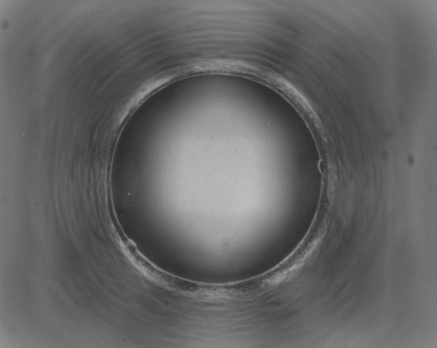 X0000084601041200703091924