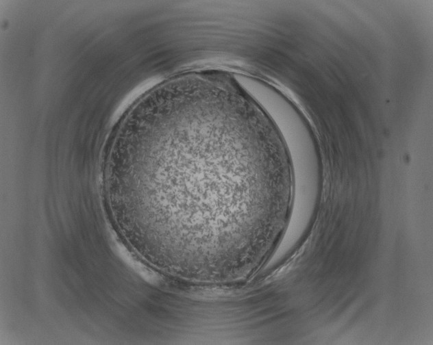 X0000084601042200703091924