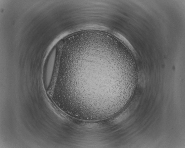 X0000084601043200703091924