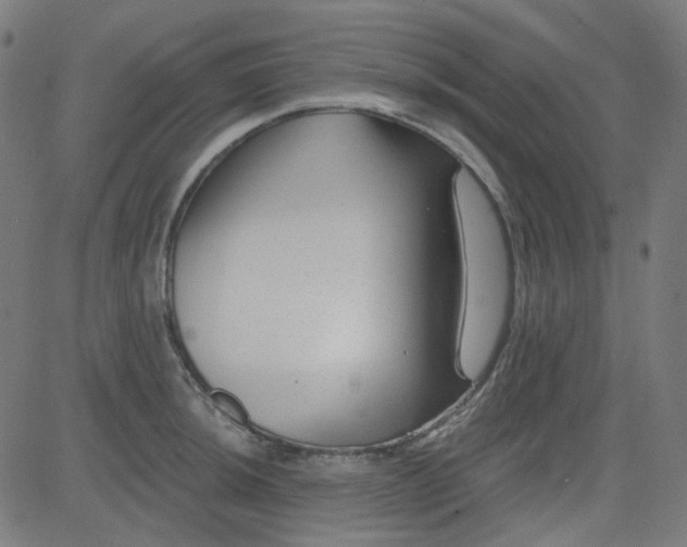 X0000084601044200703091924