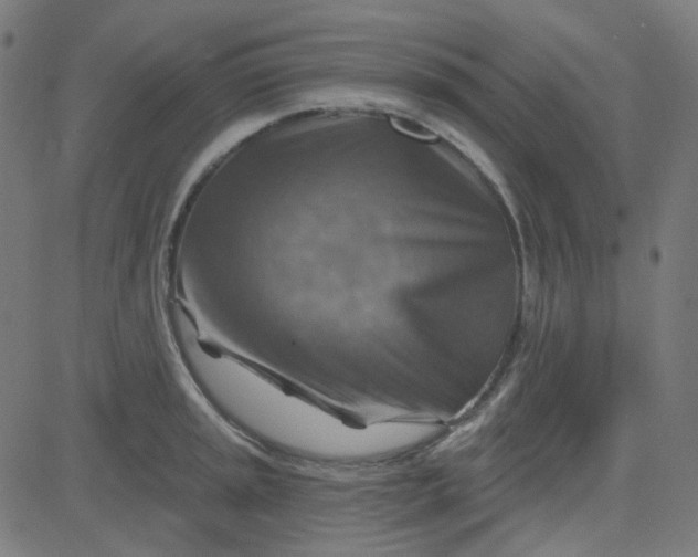 X0000084601045200703091924