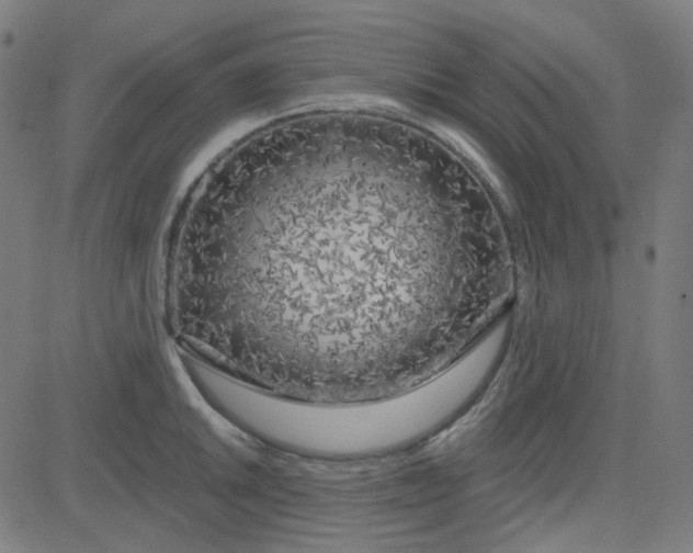 X0000084601046200703091924