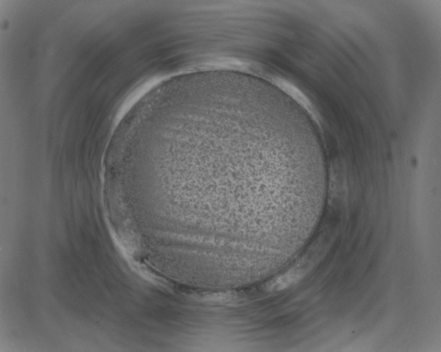 X0000084601047200703091924