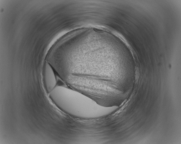 X0000084601048200703091924