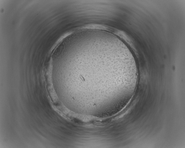 X0000084601049200703091924