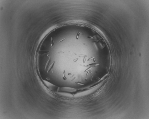 X0000084601050200703091924