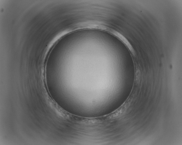 X0000084601051200703091924