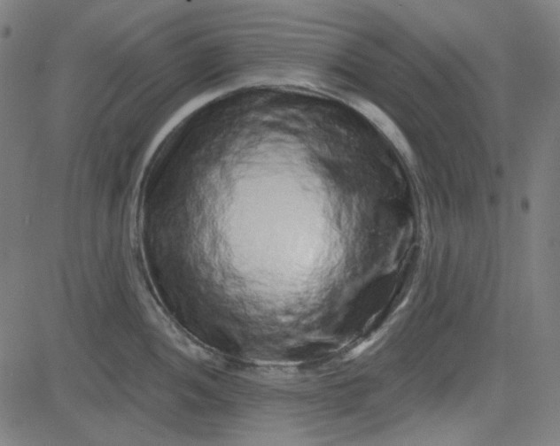 X0000084601052200703091924