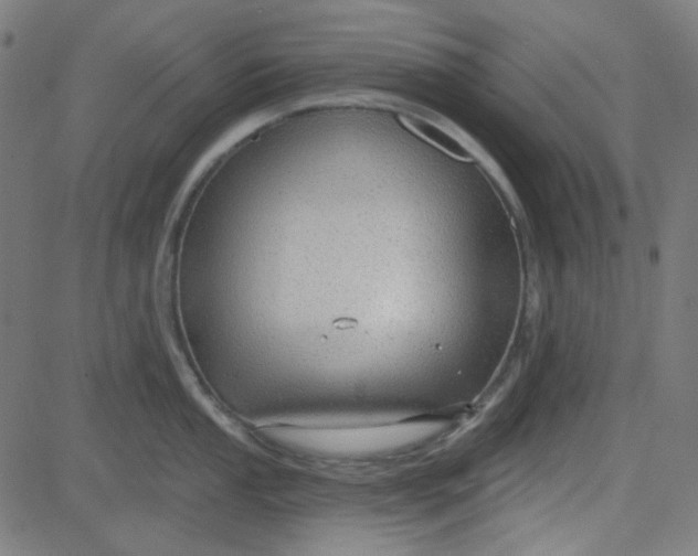 X0000084601053200703091924