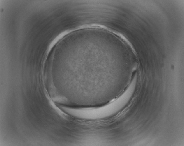 X0000084601054200703091924