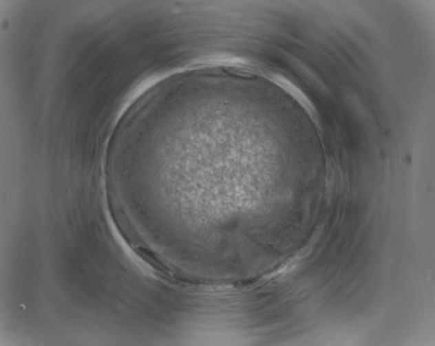 X0000084601055200703091924