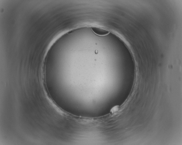 X0000084601056200703091924