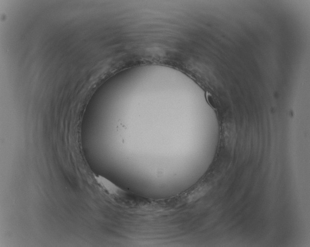 X0000084601057200703091923