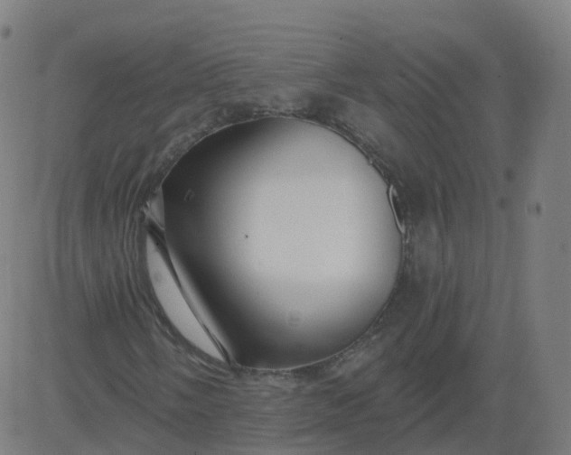 X0000084601058200703091923