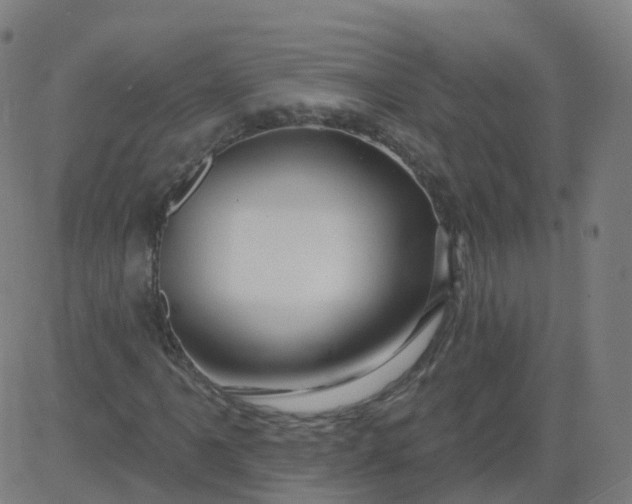 X0000084601061200703091923