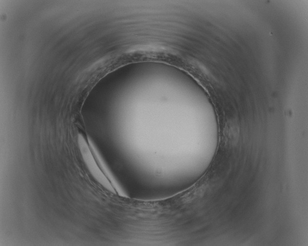 X0000084601062200703091923