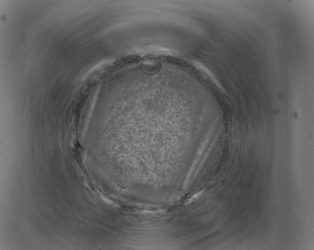 X0000084601063200703091923