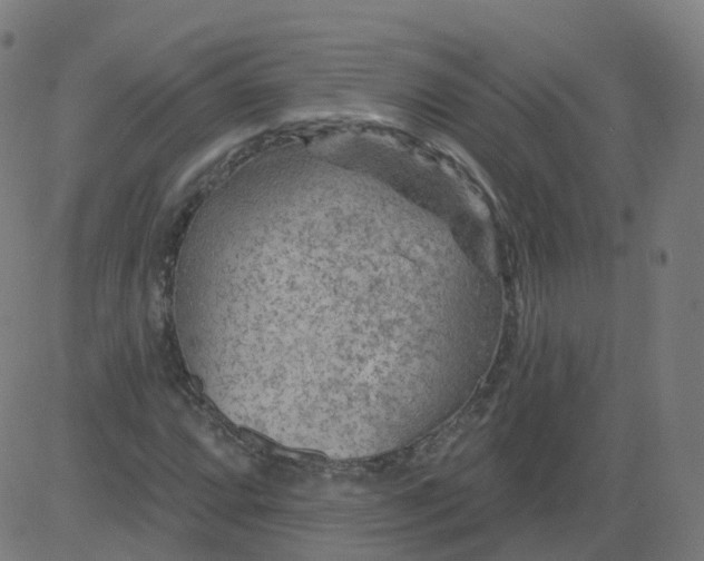 X0000084601064200703091923