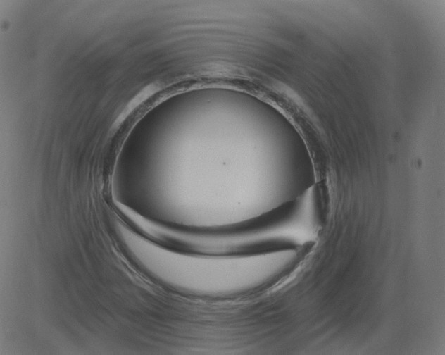 X0000084601065200703091923