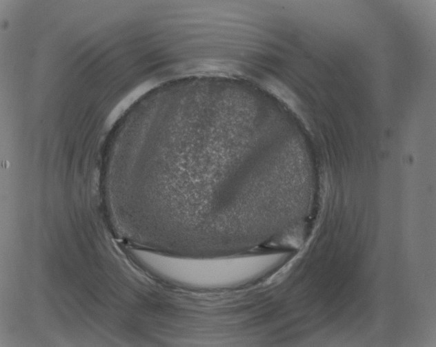 X0000084601066200703091923