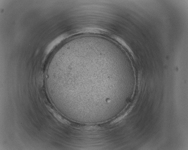 X0000084601067200703091923