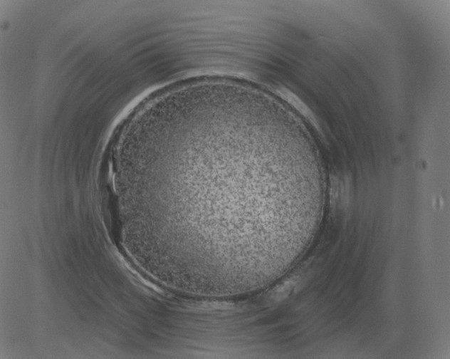 X0000084601068200703091923