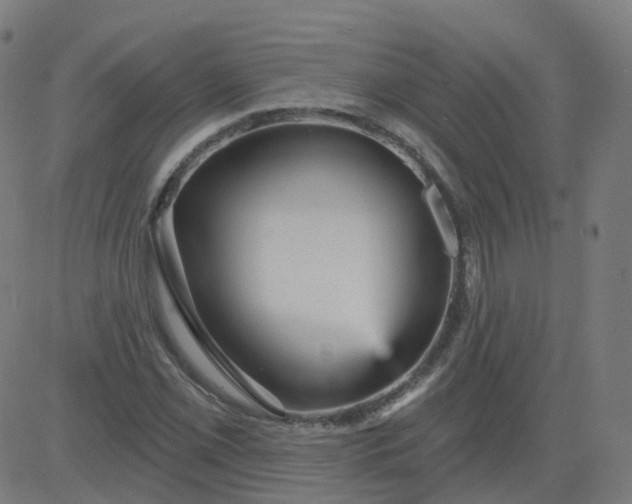 X0000084601069200703091923