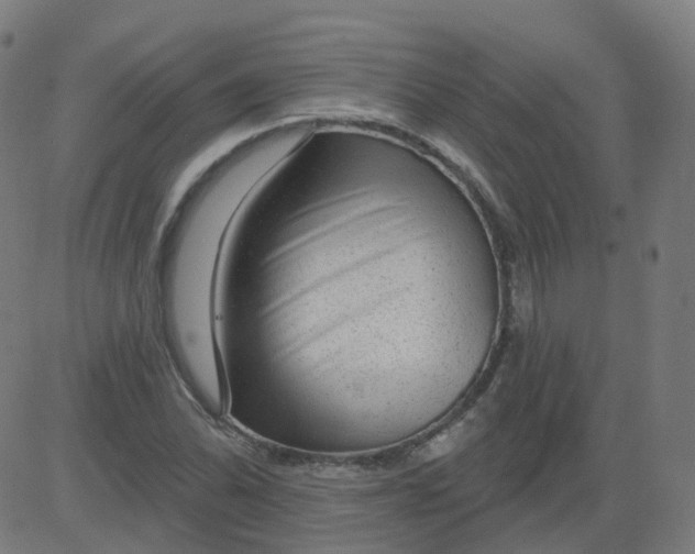 X0000084601070200703091923