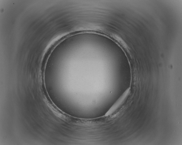 X0000084601072200703091923