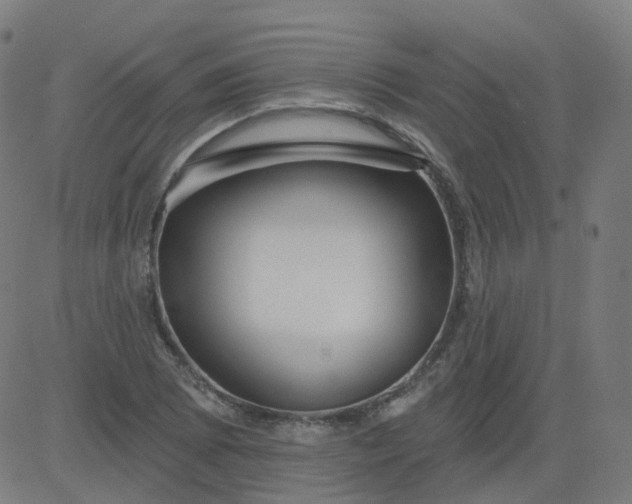 X0000084601073200703091923