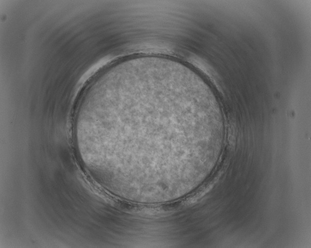 X0000084601074200703091923