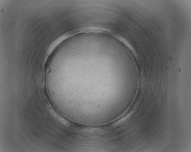 X0000084601075200703091923