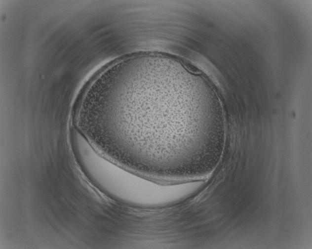 X0000084601076200703091923