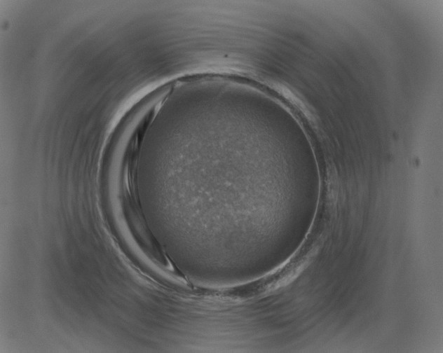 X0000084601077200703091923