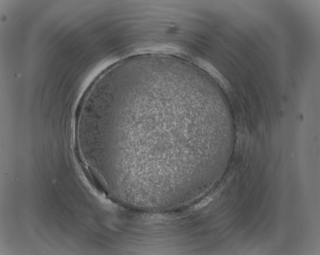 X0000084601079200703091923