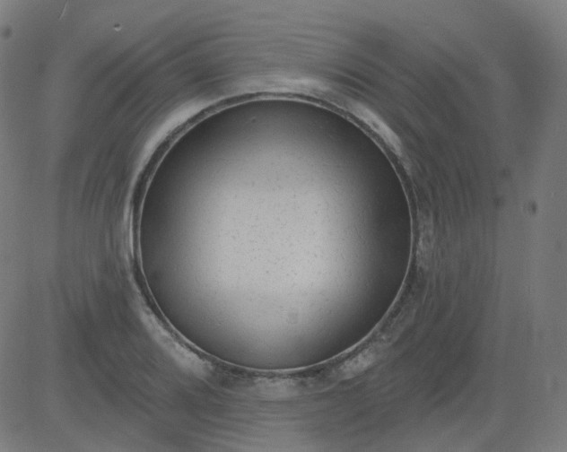 X0000084601080200703091923