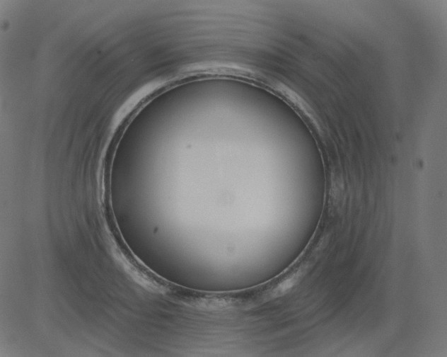 X0000084601082200703091923