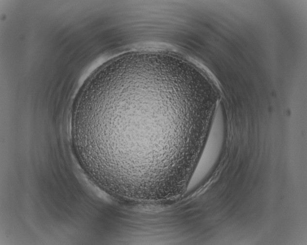 X0000084601083200703091923