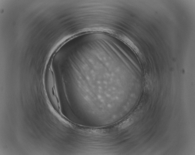 X0000084601084200703091923