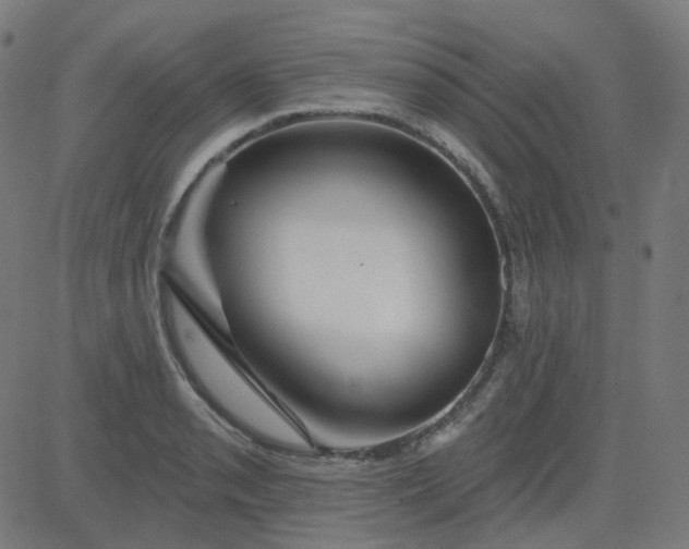 X0000084601085200703091922