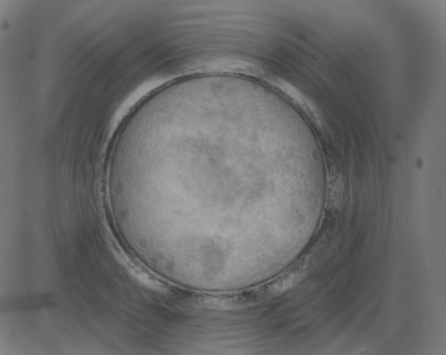 X0000084601086200703091922