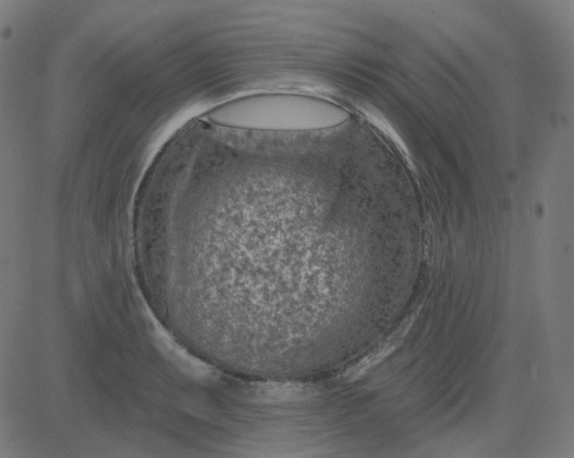 X0000084601087200703091922